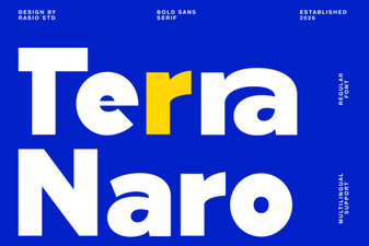 Terra Naro: a Modern Font for Creative Design Projects